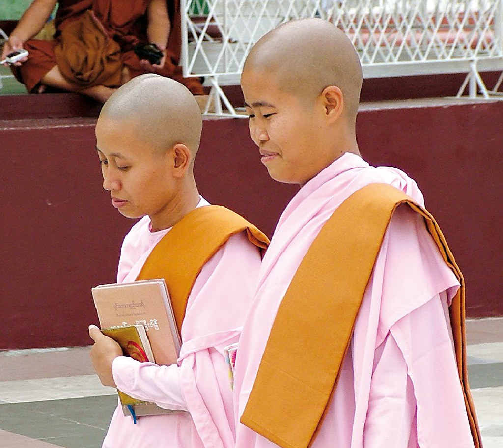 Buddhist nuns dress in pink and monks dress in rusty-red robes. Buddhist nuns dress in pink and monks dress in rusty-red robes.